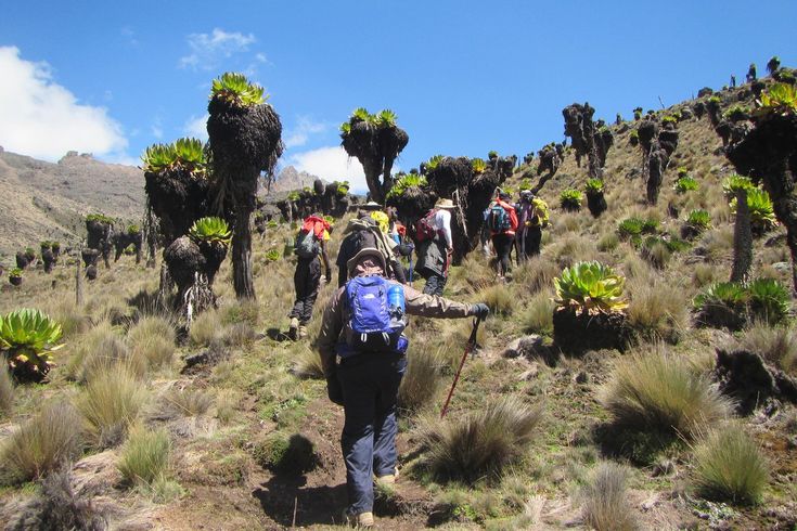 Mount Kenya 6